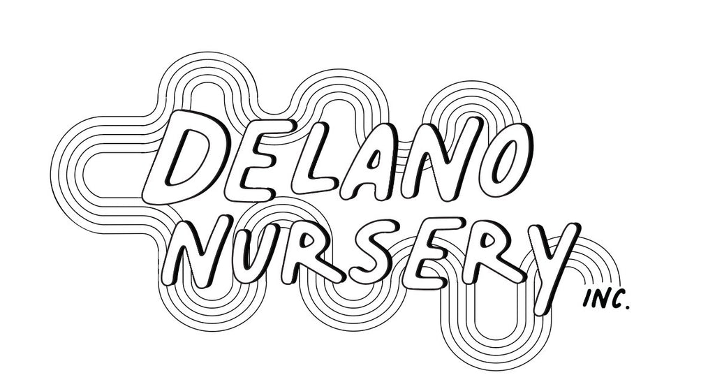 Delano Nursery